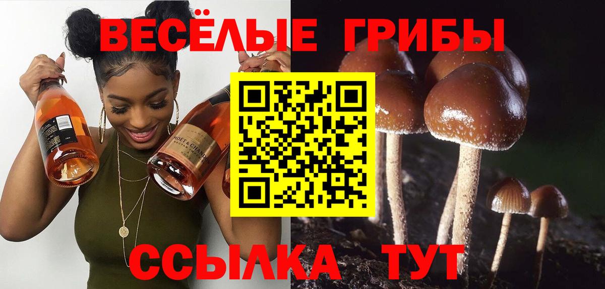 Ступино  Псилоцибиновые грибы MAGIC MUSHROOMS  Вход с VPN 